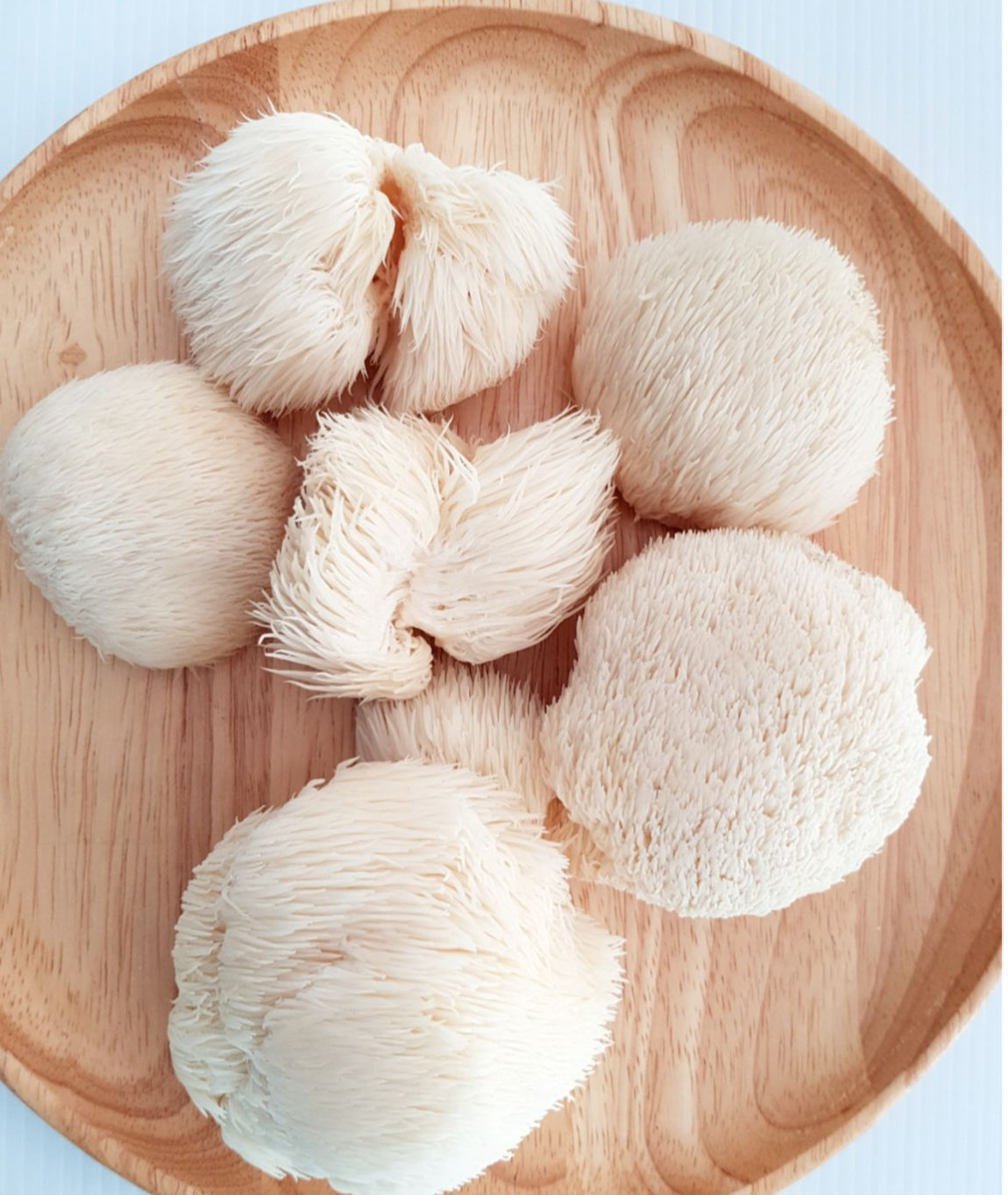 Melena de León: El Adaptógeno que Potencia tu Mente y Energía